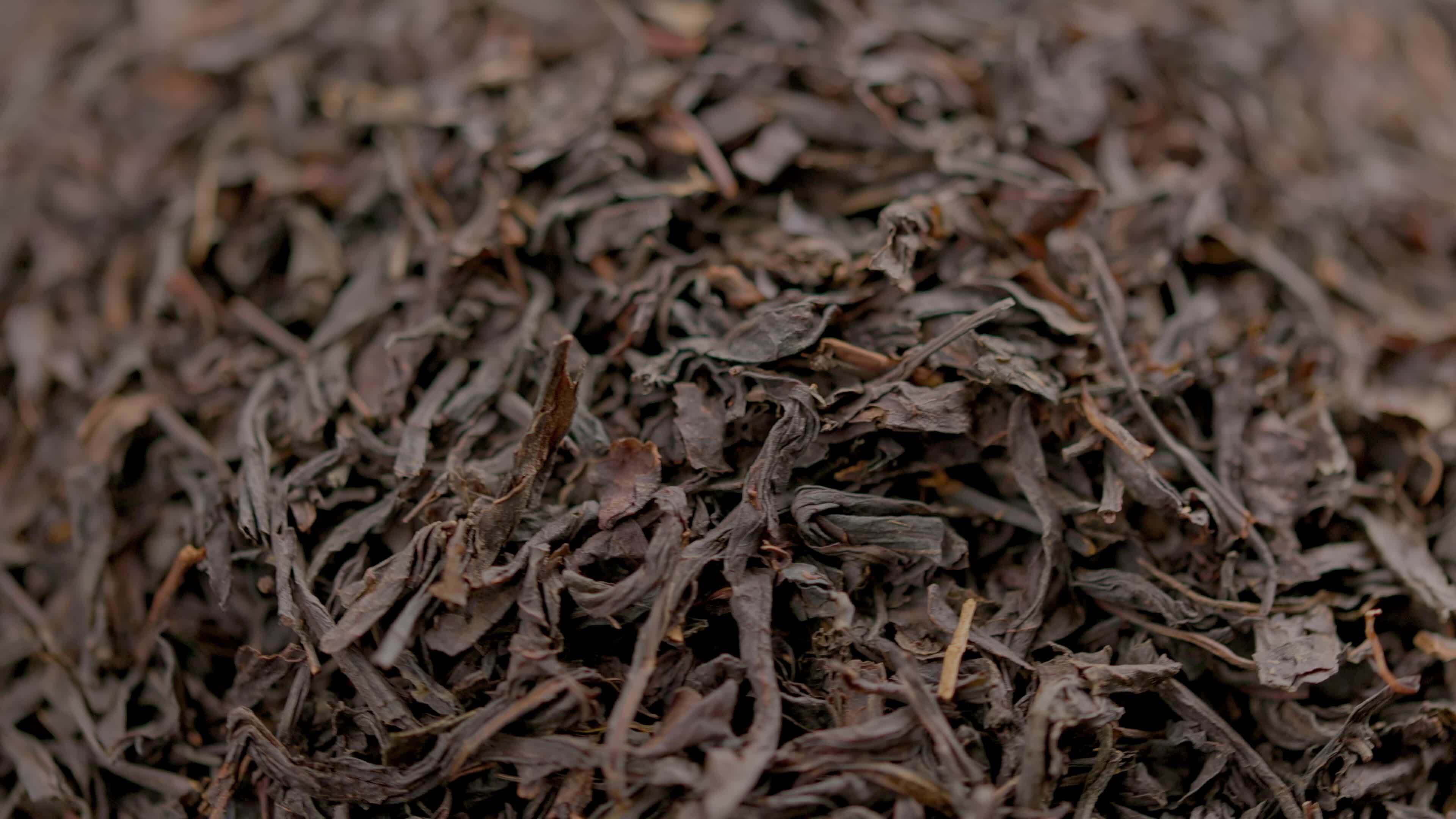 Premium Tea Trading